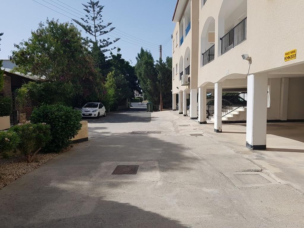 Kyklamino * Paphos